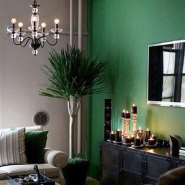 Interior Paints